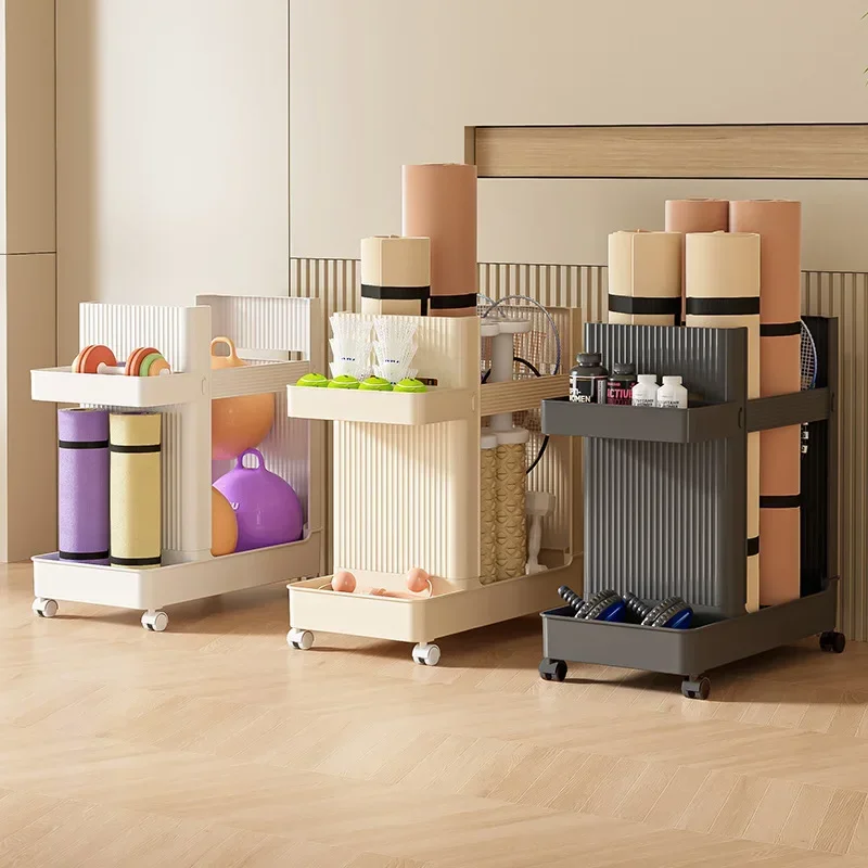 Устойчивая тележка для хранени – обзор и цена Sports Equipment Cart