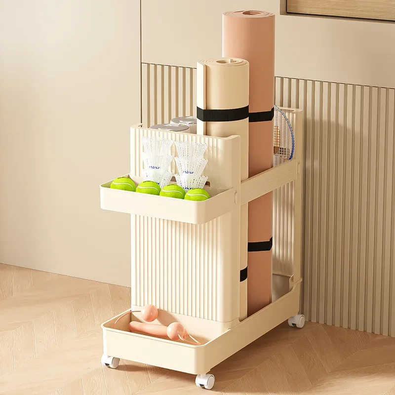 Устойчивая тележка для хранени – обзор и цена Sports Equipment Cart